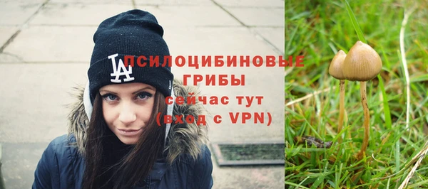 MDMA Premium VHQ Аркадак