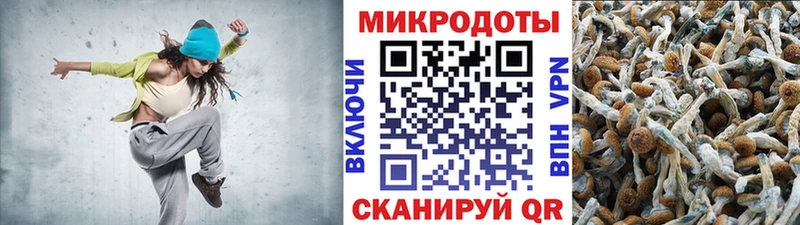 Галлюциногенные грибы MAGIC MUSHROOMS что такое наркотик Приволжск