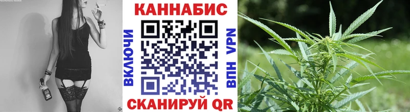 Шишки марихуана планчик  Приволжск 